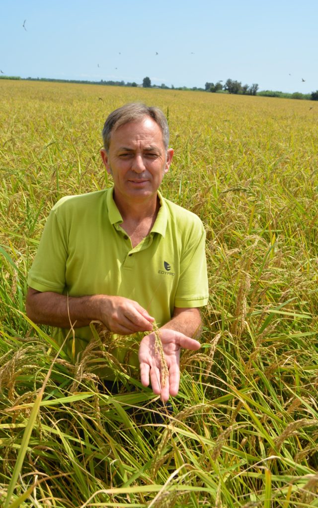 Soluciones para el cultivo