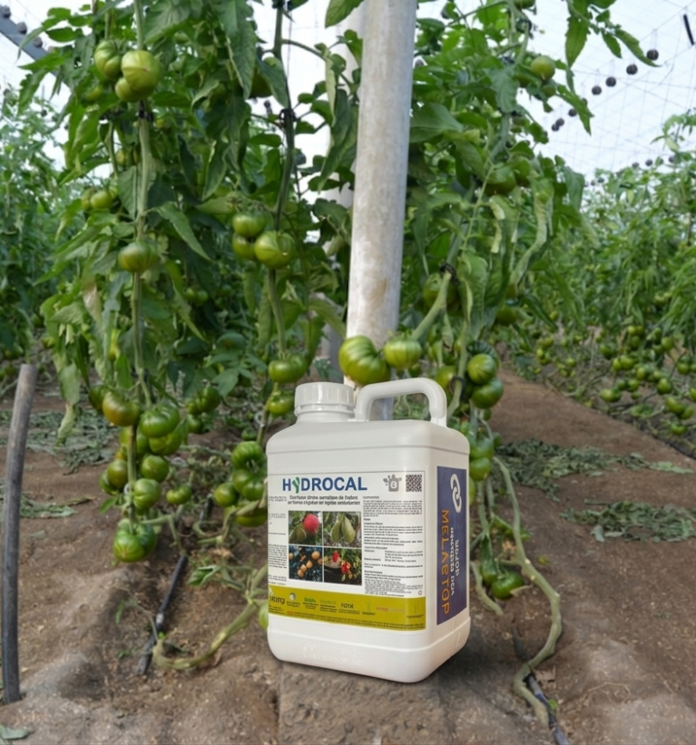 HYDROCAL