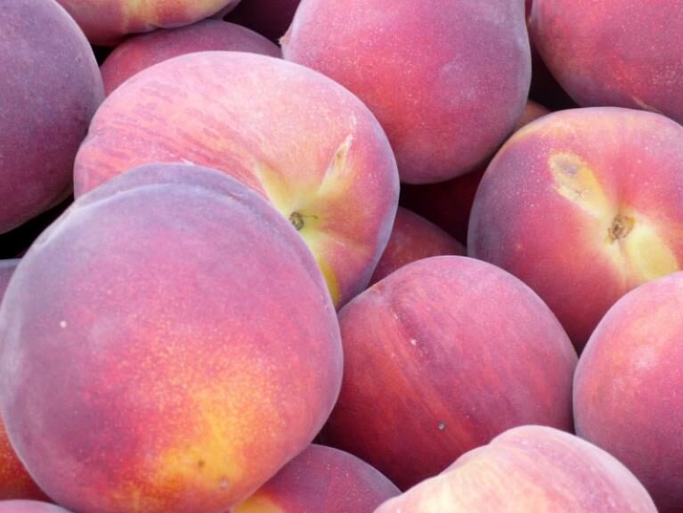 MADUR FRUIT FOLIAR