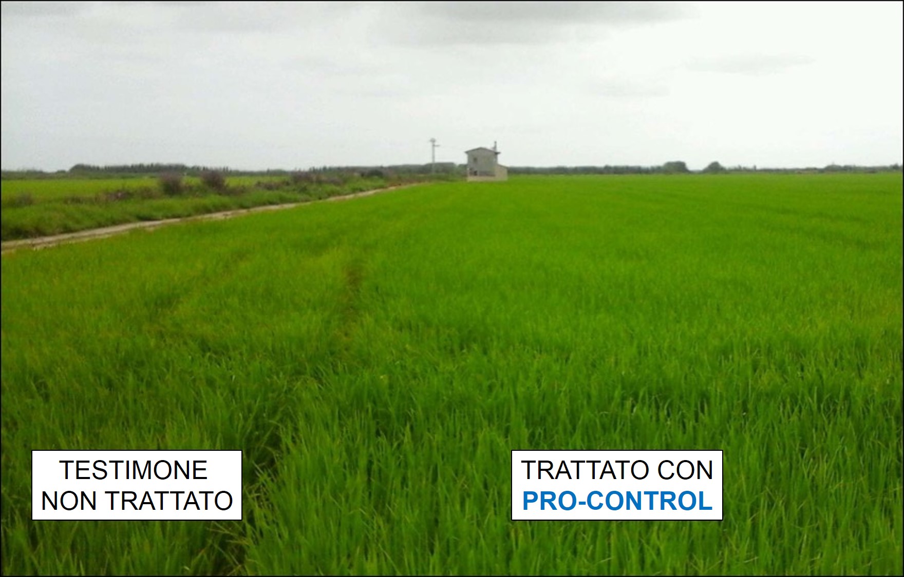 PRO-CONTROL